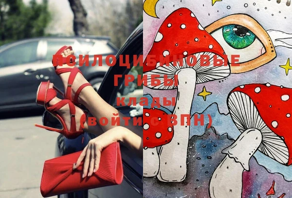 соль курить ск Алексин