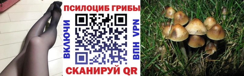 Галлюциногенные грибы GOLDEN TEACHER  Саки 